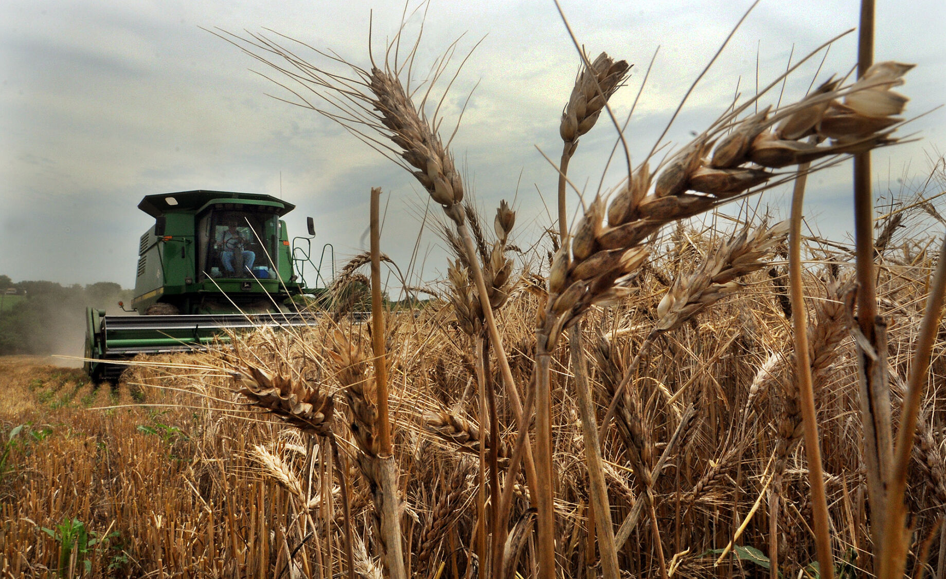 Harvest time